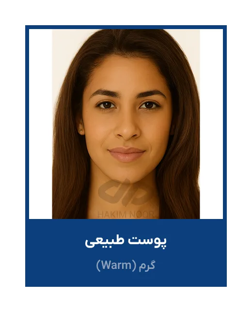 طبیعی عینک آفتابی کد Bee3207 C4 - تصویر 5