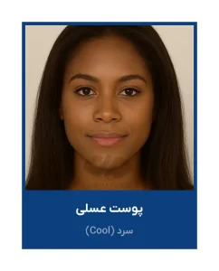 عینک آفتابی کد Bee3207 C4 7 عسلی